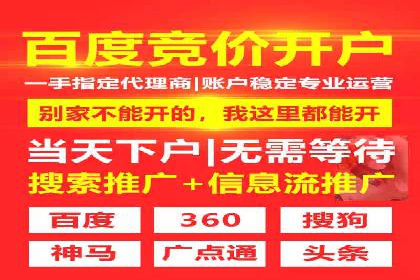 某某sem推广公司在某行业的应用与效果分析